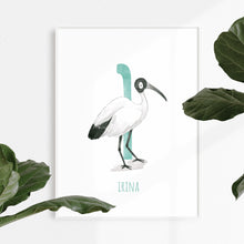 Load image into Gallery viewer, i for ibis beautiful wall art